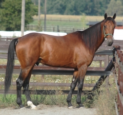 Random Shot 160908-1